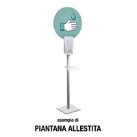 PIANTANA PER DISPENSER